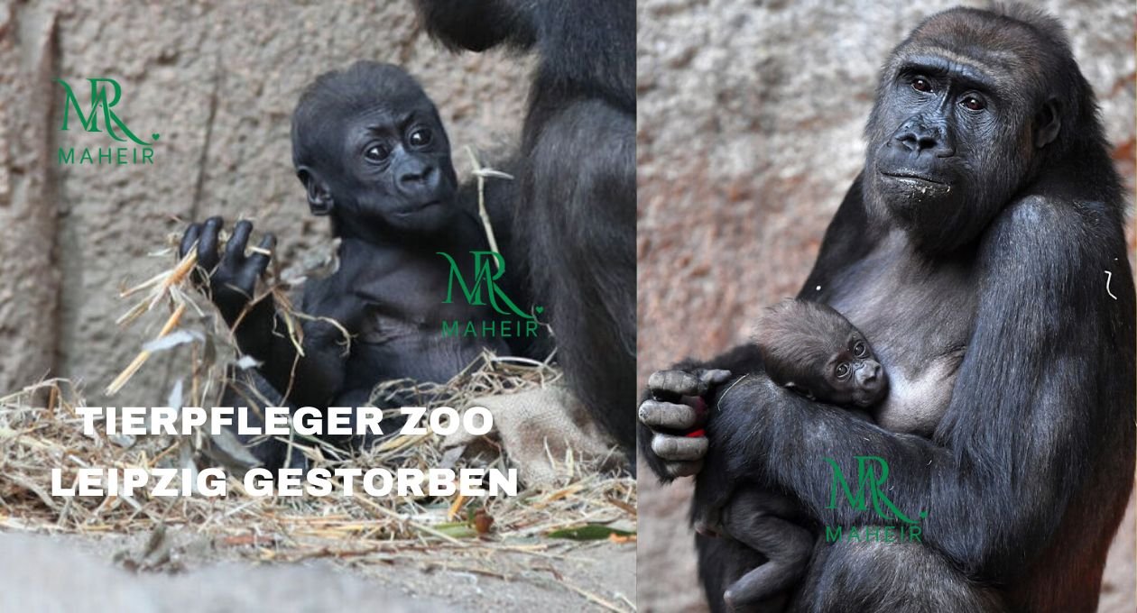 Tierpfleger Zoo Leipzig Gestorben